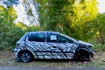voiture abandonnée oeuvre street art moyoshi la reunion Peugeot