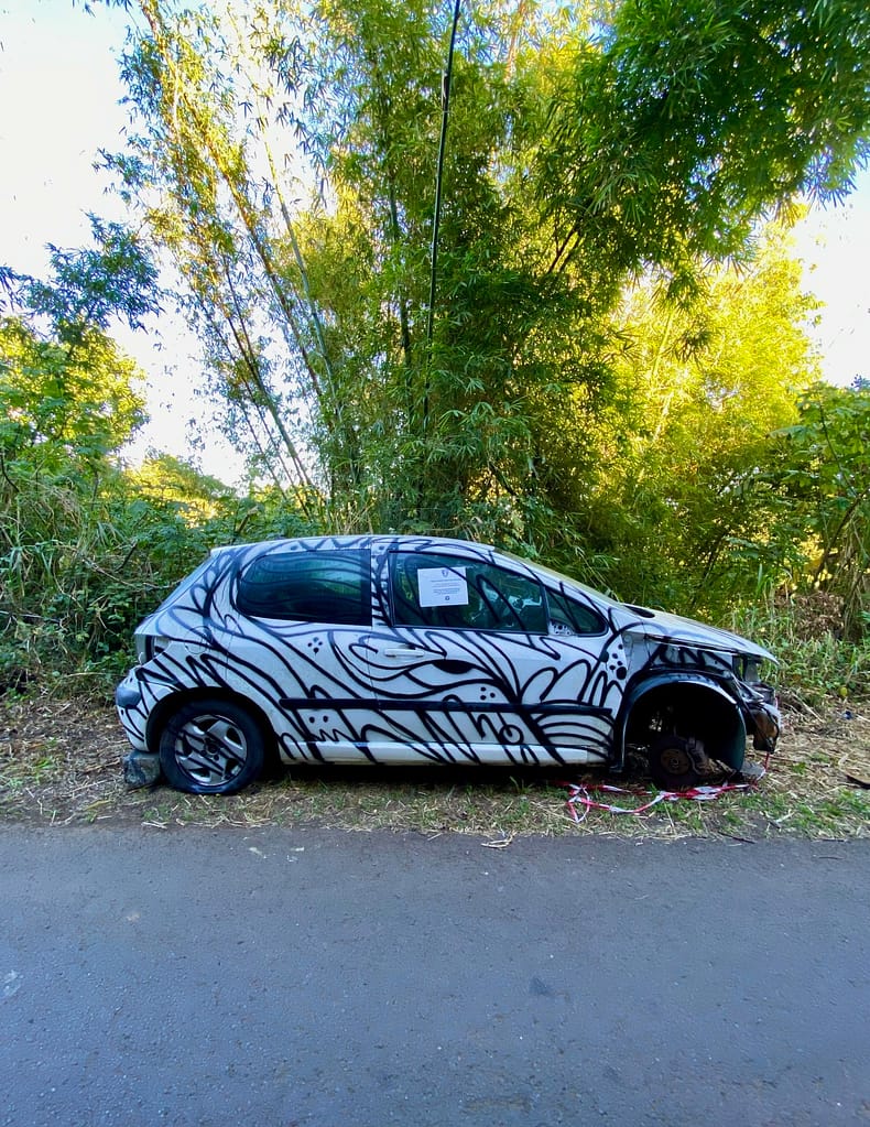 voiture abandonnée oeuvre street art moyoshi la reunion Peugeot